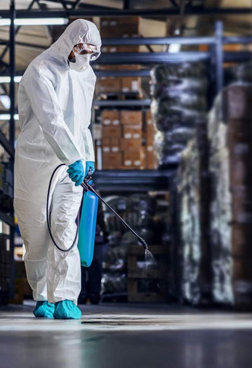 Fumigation: The Eco-Friendly Way to Keep Your Warehouses Safe